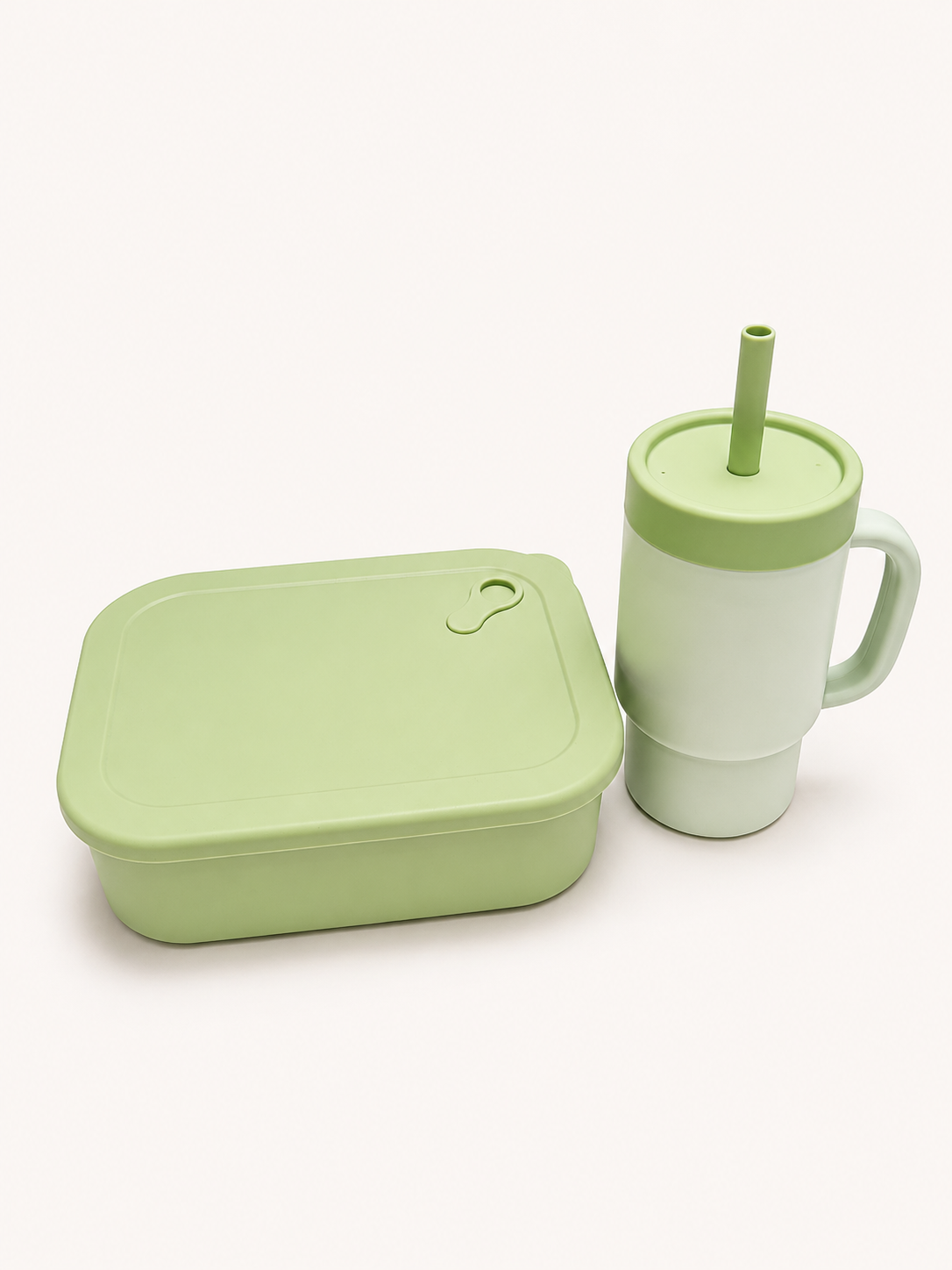 Stainless Steel Bento Lunch Box | Matcha
